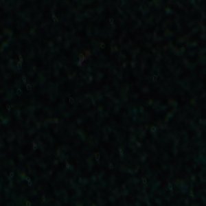 Samuel - Image 9
