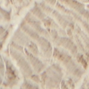 Itsneaker - Image 8
