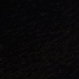 Norelle - Image 8