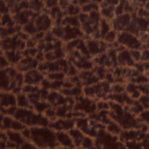 Elyne-wc - Image 7