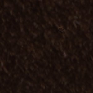 Coolchic - Image 8