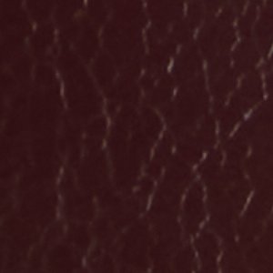 Elyne - Image 7