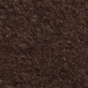 Tayloria - Image 8