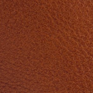 Kaydienh - Image 7