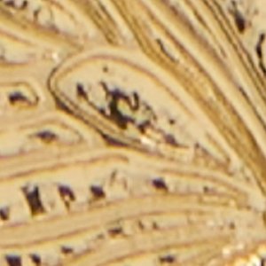 Flutterry - Image 2
