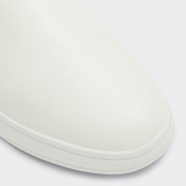 Roolly - Image 5