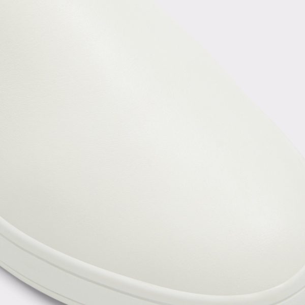Roolly - Image 7