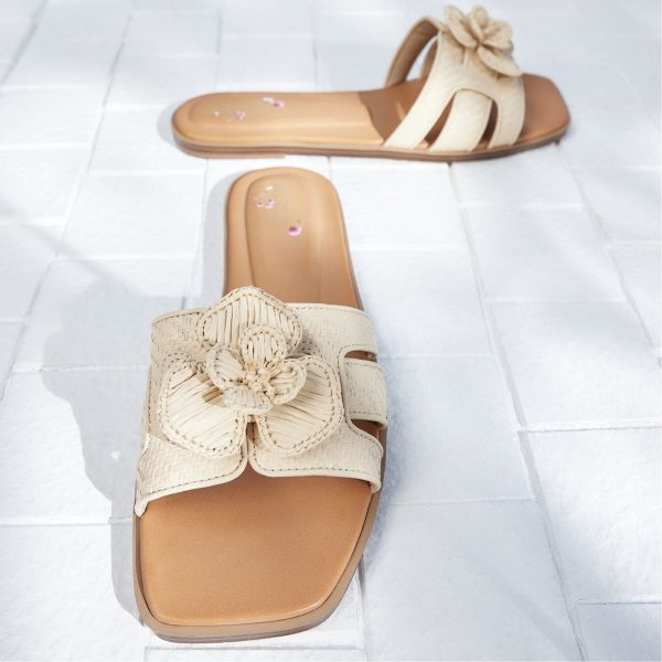 Seaflower - Image 11
