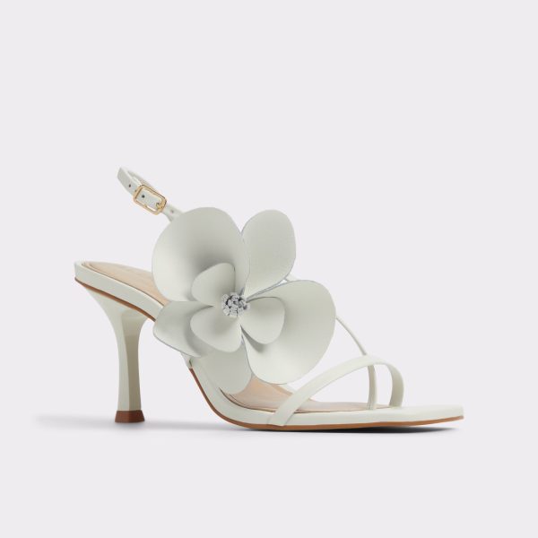 Sandflower - Image 4