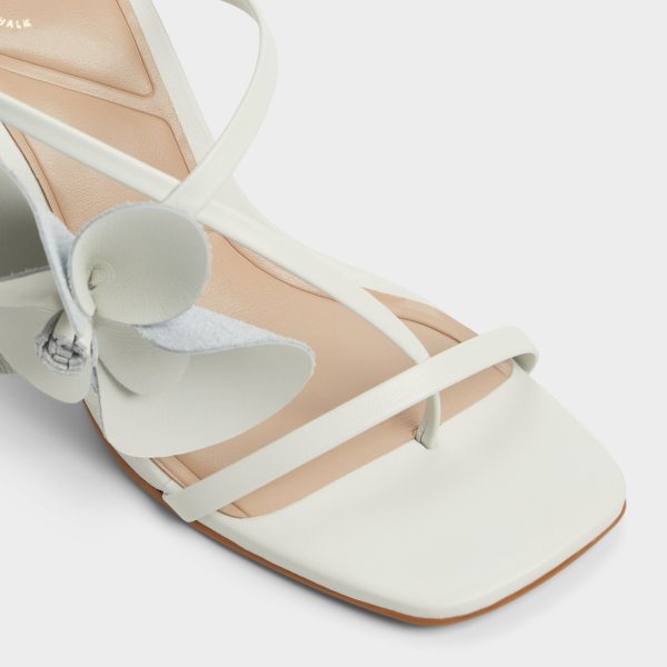 Sandflower - Image 5