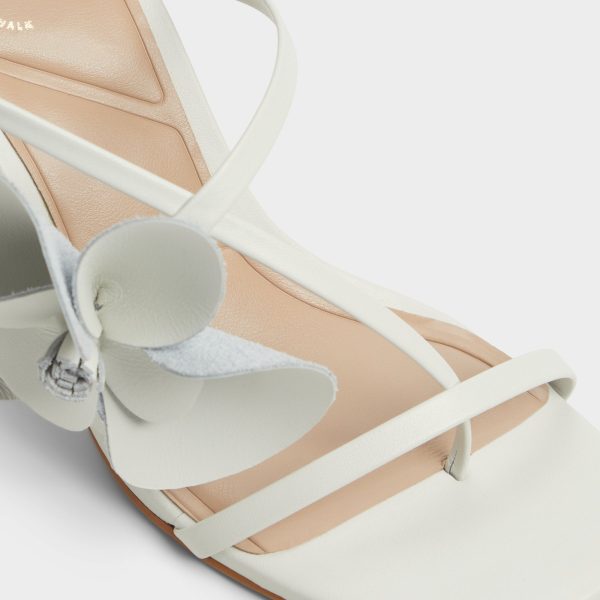 Sandflower - Image 7