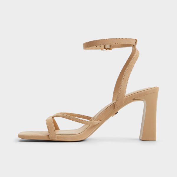 Stellare - Image 3