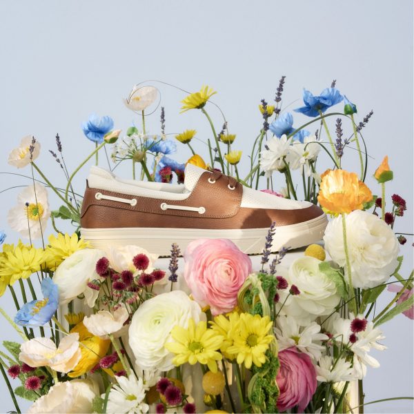 Wildwave - Image 13