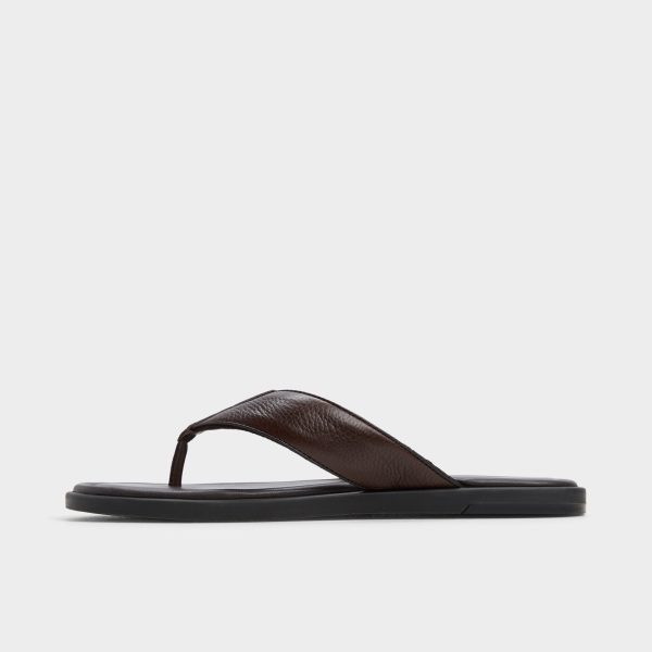 Tazzo - Image 3