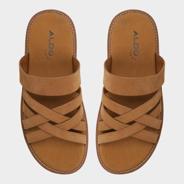 Haniff - Image 6