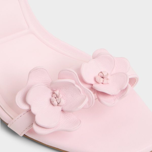 Daisylily - Image 7