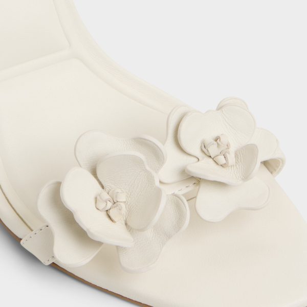 Daisylily - Image 7