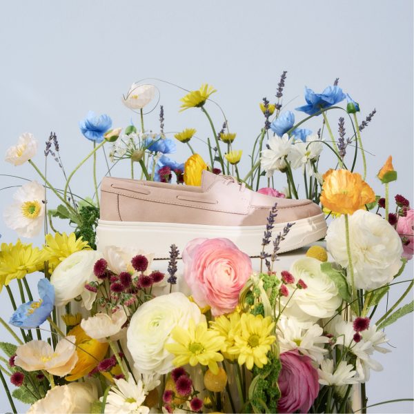 Wildbreeze - Image 11