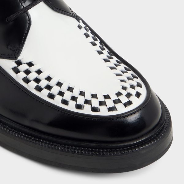 Rocco - Image 5