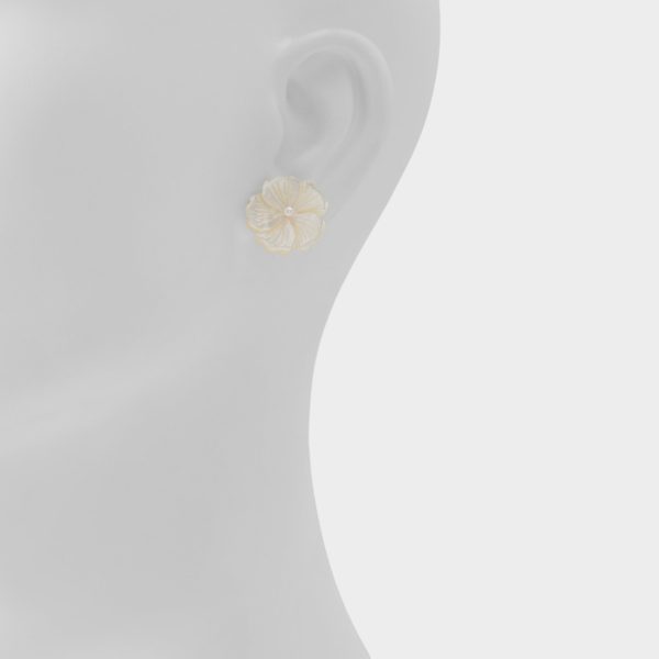 Camelliaa - Image 2