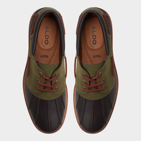 Finn - Image 6