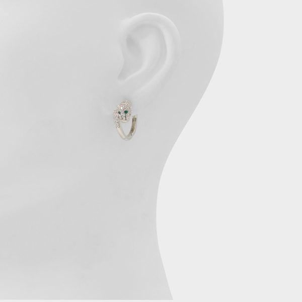 Strigidae - Image 2