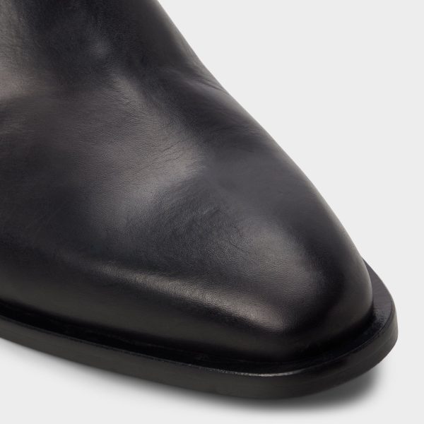 Dax - Image 5