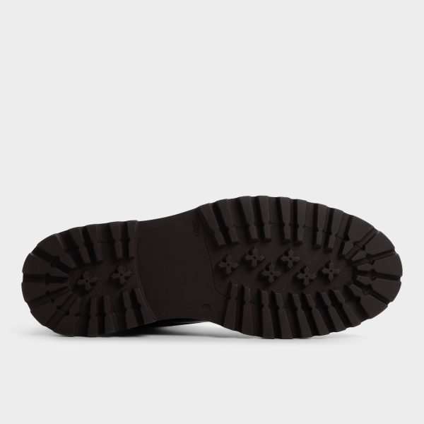 Draco - Image 7