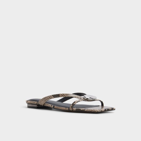 Iliria - Image 4