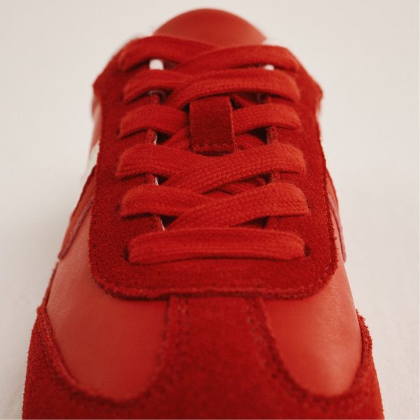 Coolchic - Image 10